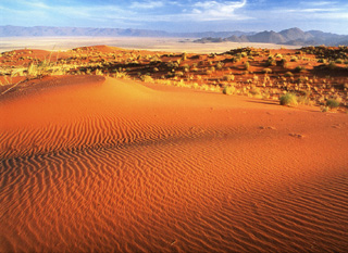 Sandwellen in den Duenen Sandwellen in den Duenen